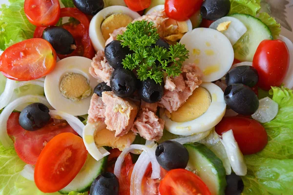 Blandade grönsakssallad med tonfisk och olivolja — Stockfoto