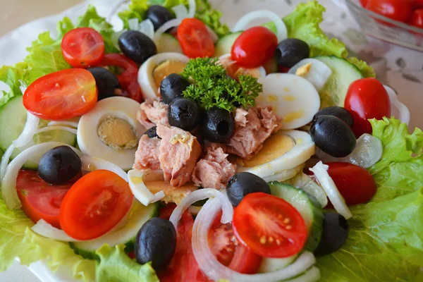 Gemischter Gemüsesalat mit Thunfisch und Olivenöl — Stockfoto