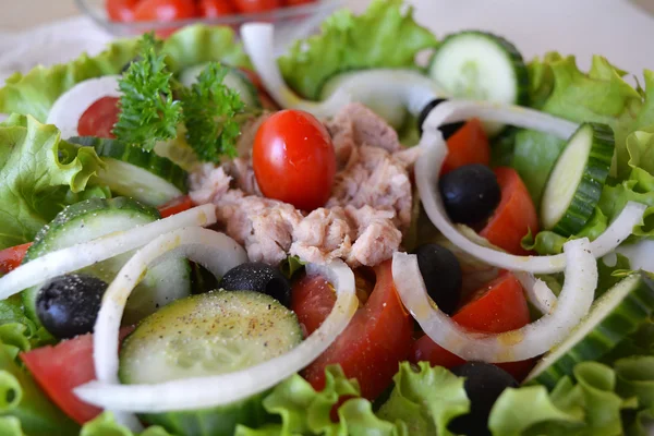 Blandade grönsakssallad med tonfisk och olivolja — Stockfoto