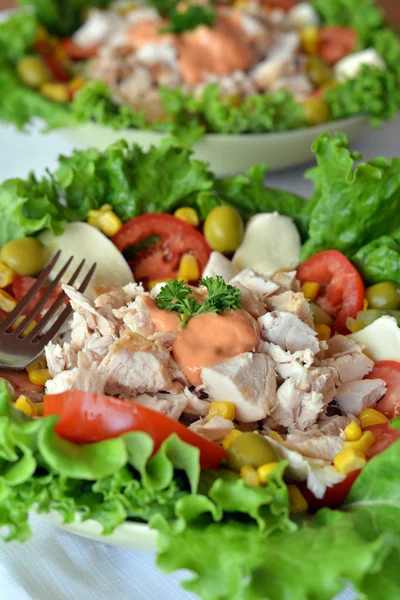 Salada de frango fresca e saudável — Fotografia de Stock