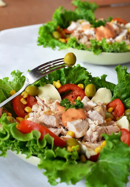 Salada de frango misto vegetal saudável — Fotografia de Stock