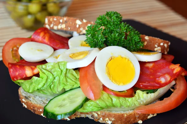 Frisches und gesundes Sandwich mit Salami und Gemüse auf einem Teller — Stockfoto