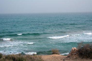 Cennet Adası güzel tropik sahilde. Kanarya Adası Fuerteventura İspanya.
