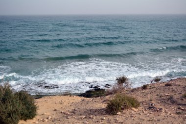 Cennet Adası tropik sahilde. Kanarya Adası Fuerteventura İspanya.