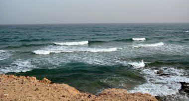 Cennet Adası tropik sahilde. Kanarya Adası Fuerteventura İspanya
