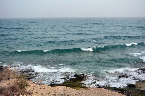 Cennet Adası tropik sahilde. Kanarya Adası Fuerteventura İspanya