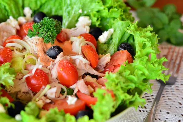 Salada de legumes misturados frescos com carne de frango — Fotografia de Stock