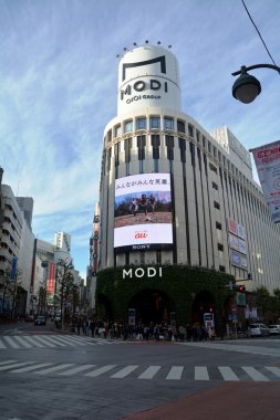 Japonya'da Tokyo şehrinden havadan görünümü