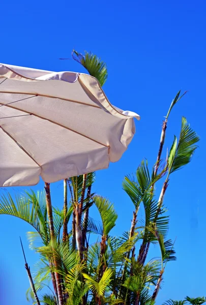 Umbrella and tropical vegetation on swimming pool area. Canary islands. Spain. — Stock Photo, Image