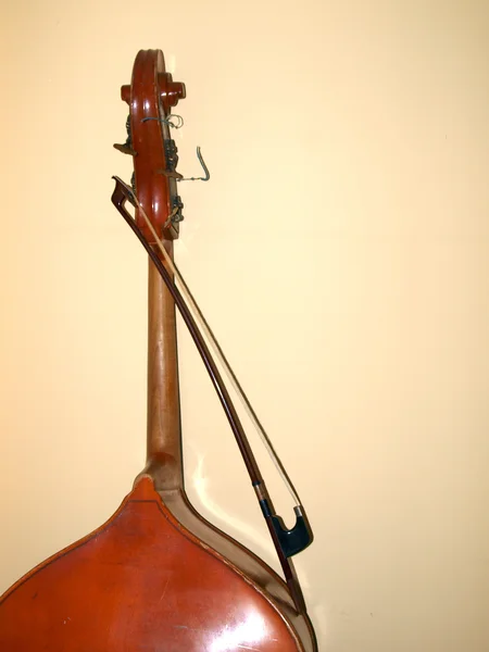 Double Bass Большой Струнный Музыкальный Инструмент — стоковое фото