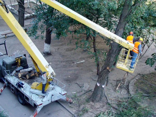 Bomen Noodtoestand Snoeien Met Voertuig Manipulator — Stockfoto