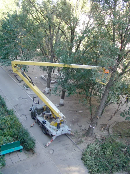 Memangkas Pohon Dalam Kondisi Darurat Dengan Manipulator Kendaraan — Stok Foto