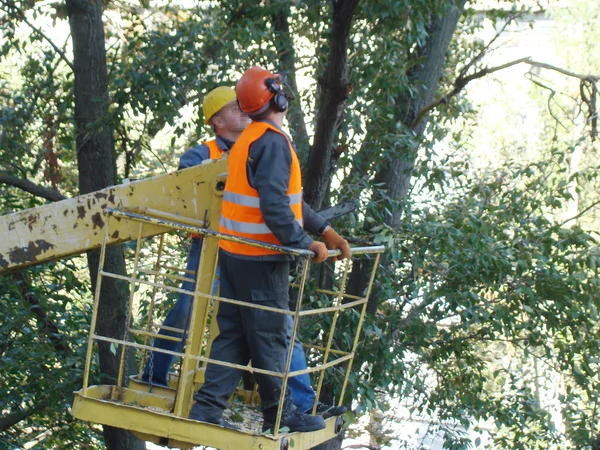 Pruning Trees Emergency Condition Vehicle Manipulator — Stock Photo, Image
