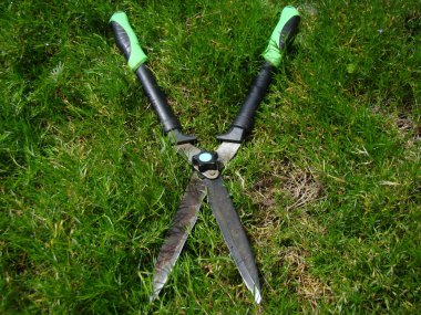 budama çalı için kullanılan büyük Bahçe makası