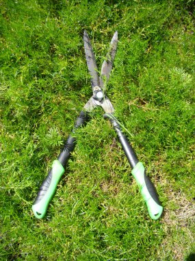 budama çalı için kullanılan büyük Bahçe makası