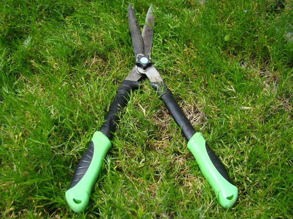 Large Garden Shears Used Pruning Shrub — Stock Photo, Image