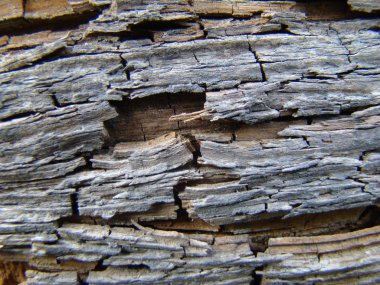 eski kırık ahşap doku yakın.