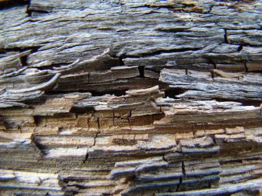 eski kırık ahşap doku yakın.