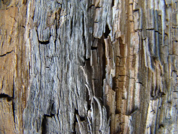 Textuur Van Het Oude Gebarsten Hout Close — Stockfoto