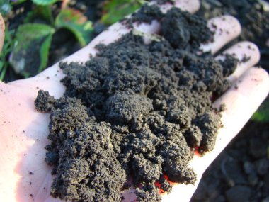 Dünya'ya bir kişi portre avucunda yatıyor