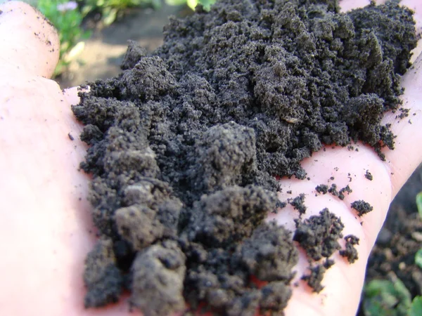 Earth Lies Palm Person Closeup — Stock Photo, Image