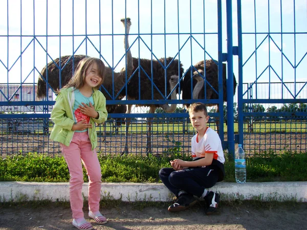 Dzieci w zoo — Zdjęcie stockowe