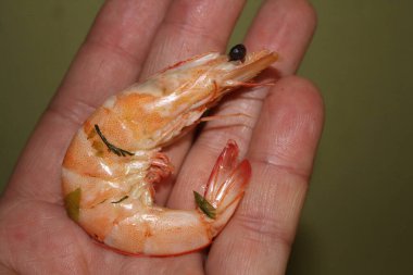 Kraliyet karidesleri yemek için hazırlanıyor.