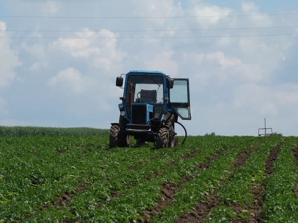 Tracteur dans un champ de pommes de terre — Photo