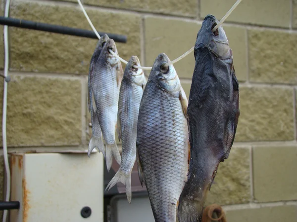 Sušené Ryby Sušené Váží Ulici Pod — Stock fotografie