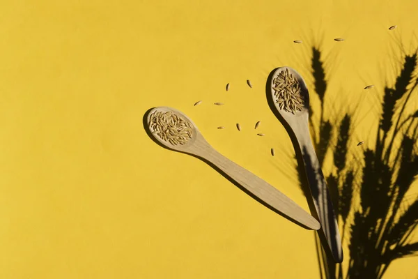 黄色背景的谷类作物 木制勺子 带有硬阴影的小穗 天然食物原料 复制空间 — 图库照片
