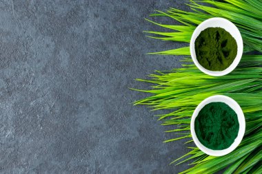 Klorella ve spirulina tozu koyu bir arka planda. Vejetaryen diyeti için yeşil bir süper yiyecek. Sağlıklı yaşam tarzı kavramı. Boşluğu kopyala