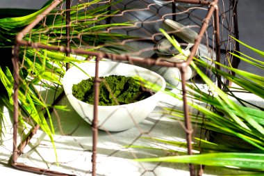 Açık arkaplanda klorella yosun tozu. Vejetaryen diyeti için yeşil bir süper yiyecek. Tebeşir harfleri. Sert gölgeler. Sağlıklı yaşam tarzı kavramı. SPA prosedürleri. Üst Manzara. Seçici odak.