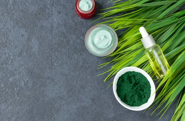 Spirulina powder on a dark background. Natural ingredient for spa treatments and cosmetology. Oil for face and body. Natural antioxidant. Anti-aging effect. Copy space.