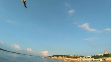 Gün batımında martılar şehrin arka planına karşı suyun üzerinde uçar..