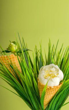 Yeşil arka planda beyaz şakayık çiçekli doğal waffle konisi. Doğum günü için şenlikli yaratıcı konsept, anneler günü, sevgililer günü. Dikey pozisyonda. Boşluğu kopyala.