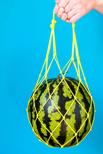 Hands hold a watermelon in a string bag on a blue background. Detox in a reusable eco-mesh. Healthy food delivery concept. Vertical position.
