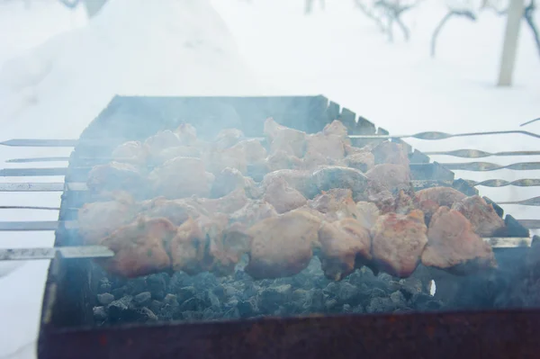 Saftig gebratene Spieße auf dem Grill — Stockfoto