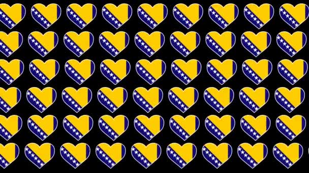 Bosnia and Herzegovina Pattern Love flag design background — 비디오