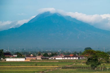 Merbabu Dağı, Kırsal Köy 'ün üzerinde yükselen Volkan Dağı ve Açık Mavi Gök Altında Yeşil Pirinç Tarlaları