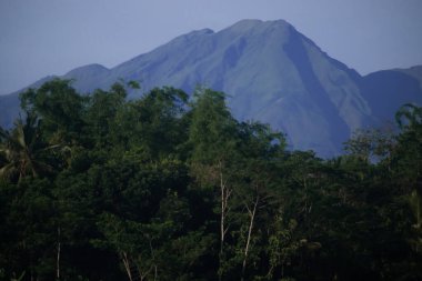 Telomoyo Dağı Günışığında Yoğun Tropikal Orman 'ın üzerinde, Orta Java Endonezyası
