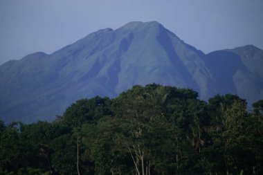 Telomoyo Dağı Yoğun Tropikal Ormanın Üzerinde Açık Gün Işığında, Orta Java Endonezya