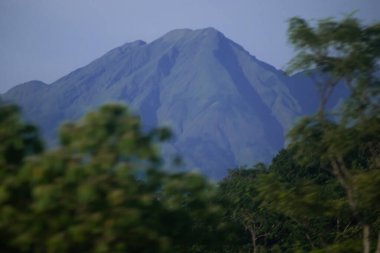 Telomoyo Tepesi Görünmez Tropikal Ağaçlar Tarafından Çerçevelenmiştir Gün Işığında, Orta Java Endonezya