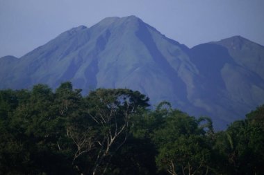 Telomoyo Dağı Volkanik Yükseliş Açık Mavi Gök Altında Tropikal Orman, Orta Java Endonezya