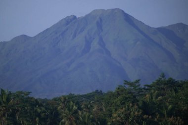 Endonezya 'daki Bereketli Tropikal Orman Altında Volkanik Dağ Yükseliyor