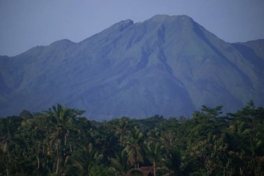 Telemoyo Dağı Volkanik Yükseliş Merkezi Java Endonezya 'da gür tropikal ormanın ve palmiye ağaçlarının üzerinde