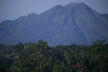 Telemoyo Dağı Volkanı Orta Java Endonezya 'daki Tropikal Palmiye Ormanı' nın üzerinde yükseliyor