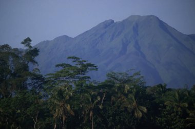 Telemoyo Dağı, Endonezya 'nın merkezindeki yemyeşil tropikal ormanın üzerinde yükselen volkan.