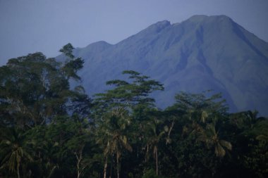 Merkezi Java Endonezya 'da Lush Tropikal Ormanı ve Palmiye Ağaçlarıyla Telemoyo Volkanı