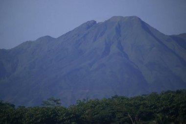 Telemoyo Dağı Volkanik Dağ Manzarası Orta Cava Endonezya 'daki Tropikal Orman üzerinde