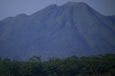 Telemoyo Dağı, Endonezya 'nın merkezinde yeşil tropikal araziye hakim bir volkan.